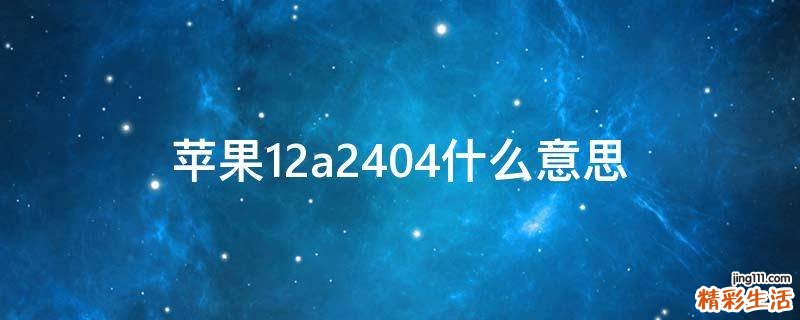 苹果12a2404什么意思