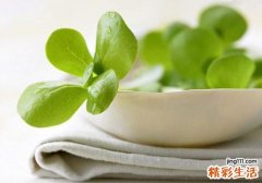 马齿苋加蜂蜜能治疗白发吗 马齿苋加蜂蜜治疗白发怎么用