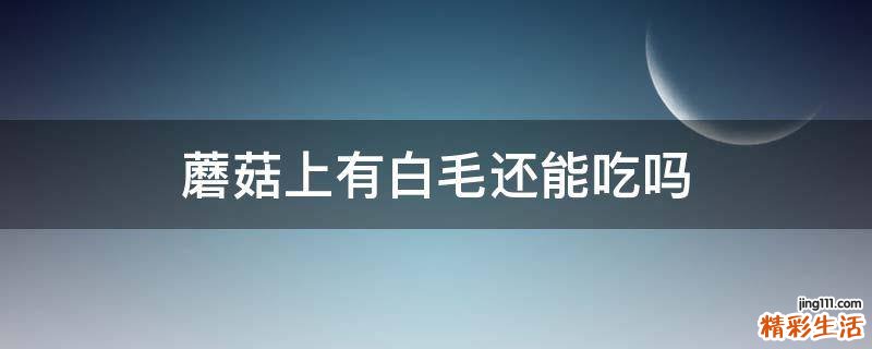 蘑菇上有白毛还能吃吗