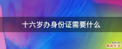 十六岁办身份证需要什么