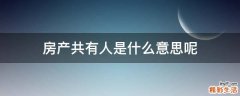 房产共有人是什么意思呢
