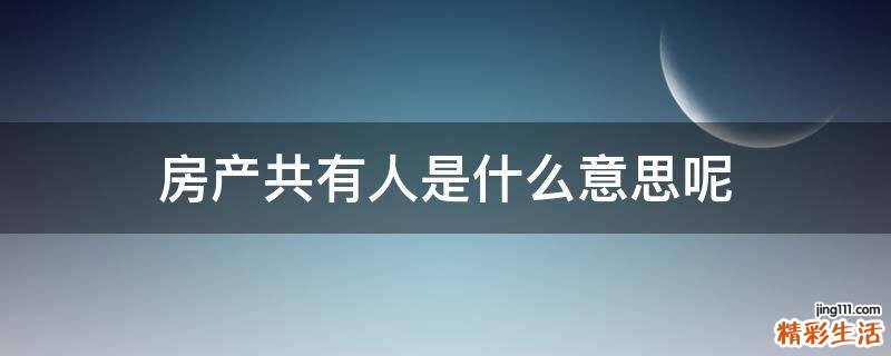 房产共有人是什么意思呢