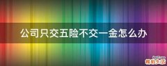 公司只交五险不交一金怎么办