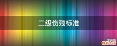 二级伤残标准