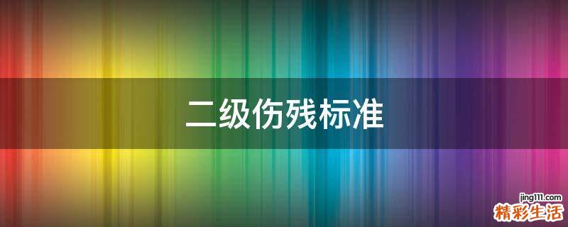 二级伤残标准