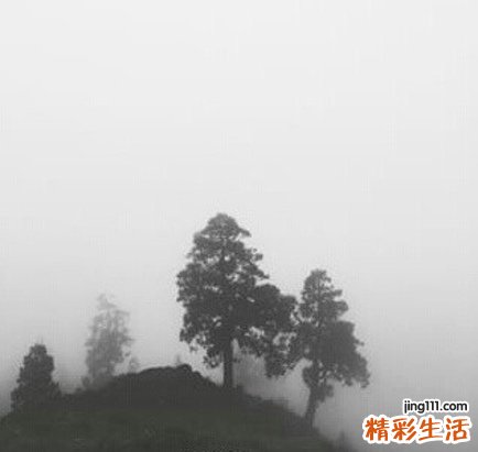 2 两大误区让地中海贫血越治越重