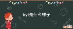 byt是什么样子