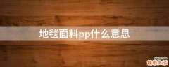地毯面料pp什么意思