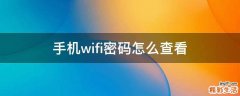 手机wifi密码怎么查看