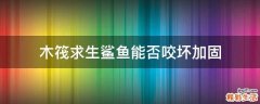 木筏求生鲨鱼能否咬坏加固