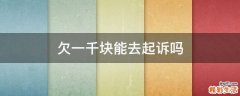 欠一千块能去起诉吗
