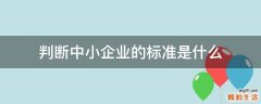 判断中小企业的标准是什么