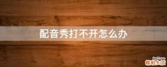 配音秀打不开怎么办