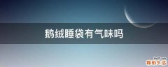 鹅绒睡袋有气味吗
