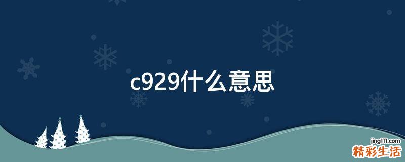 c929什么意思