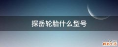 探岳轮胎什么型号
