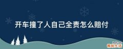 开车撞了人自己全责怎么赔付
