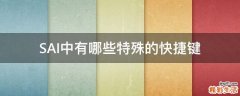 SAI中有哪些特殊的快捷键