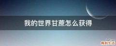 我的世界甘蔗怎么获得
