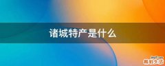 诸城特产是什么