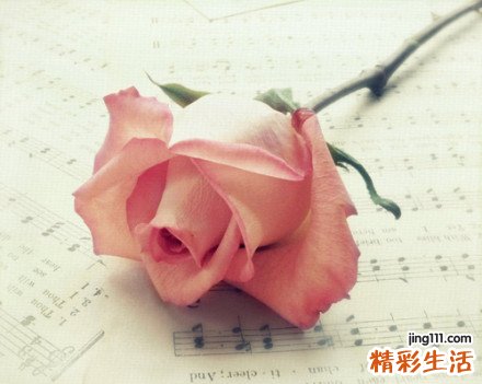 2 夫妻举动过于亲密会引起孩子嫉妒