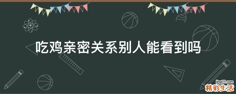 吃鸡亲密关系别人能看到吗