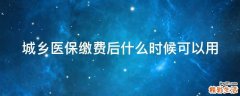 城乡医保缴费后什么时候可以用