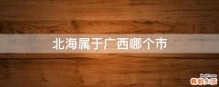 北海属于广西哪个市