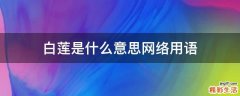 白莲是什么意思网络用语