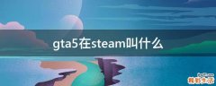 gta5在steam叫什么