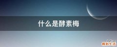 什么是酵素梅