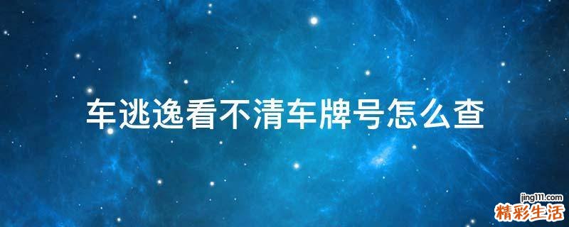 车逃逸看不清车牌号怎么查
