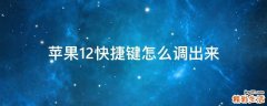 苹果12快捷键怎么调出来