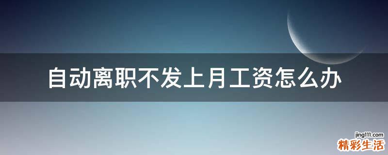 自动离职不发上月工资怎么办