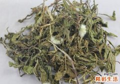 长痱子擦什么好得最快