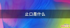 止口是什么
