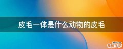 皮毛一体是什么动物的皮毛