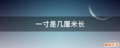 一寸是几厘米长