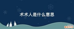 术术人是什么意思