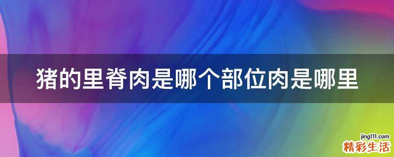 猪的里脊肉是哪个部位肉是哪里