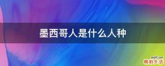 墨西哥人是什么人种
