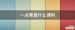 一点黑是什么调料