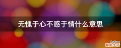 无愧于心不惑于情什么意思