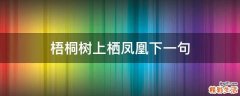 梧桐树上栖凤凰下一句