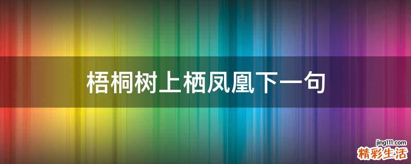 梧桐树上栖凤凰下一句
