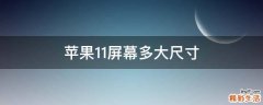 苹果11屏幕多大尺寸