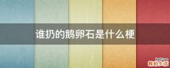 谁扔的鹅卵石是什么梗
