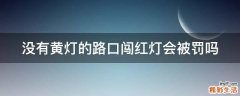 没有黄灯的路口闯红灯会被罚吗