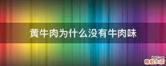 黄牛肉为什么没有牛肉味