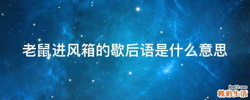 老鼠进风箱的歇后语是什么意思